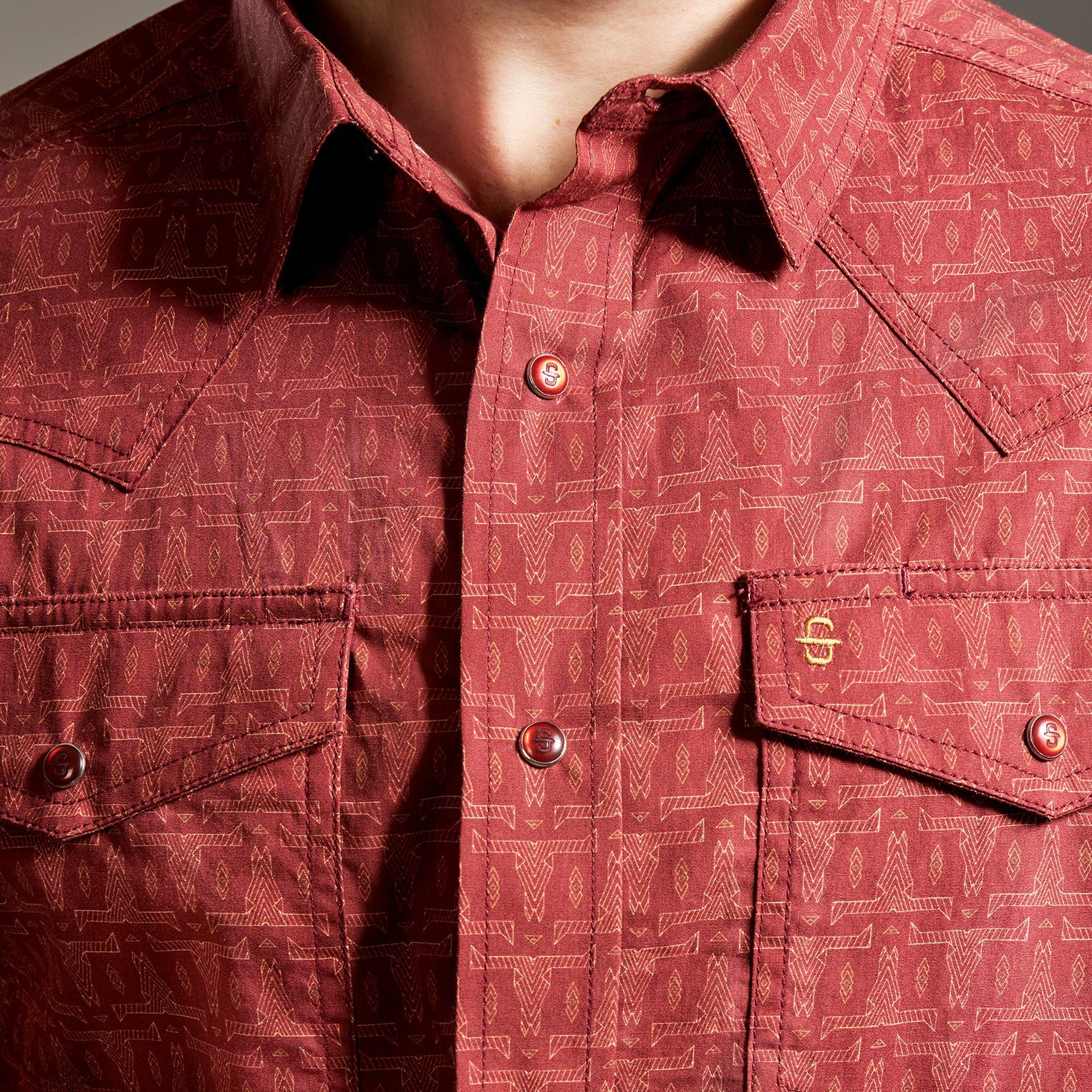 Camisa Stetson Vintage Range Bravado Lines
