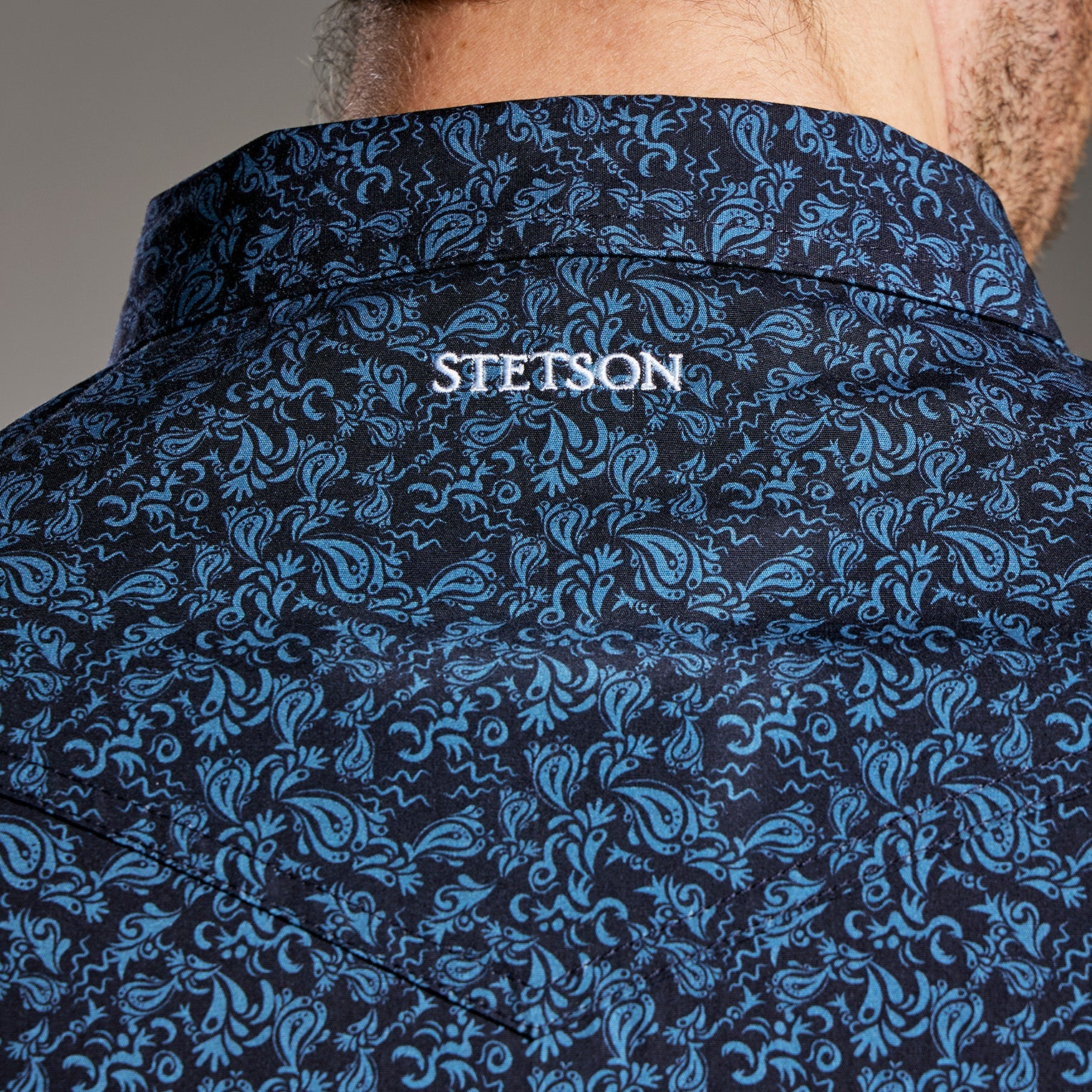 Camisa Stetson Vintage Range Sable Crest