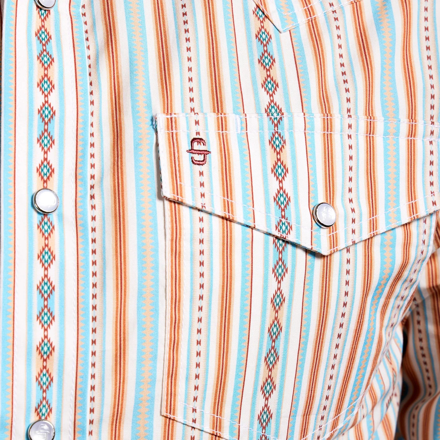 Camisa Stetson Vintage Range Timberline Spirit