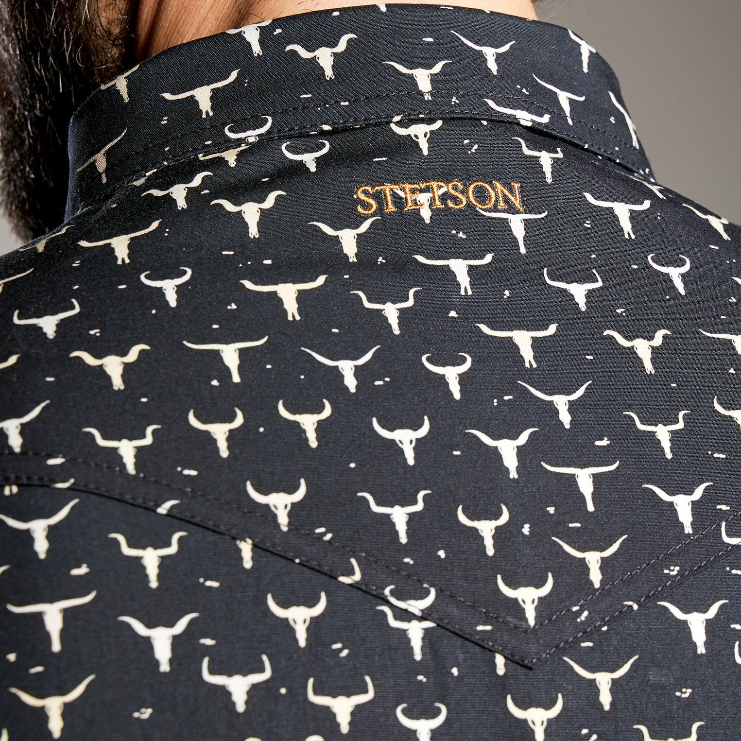 Camisa Stetson Vintage Range Skull Forge
