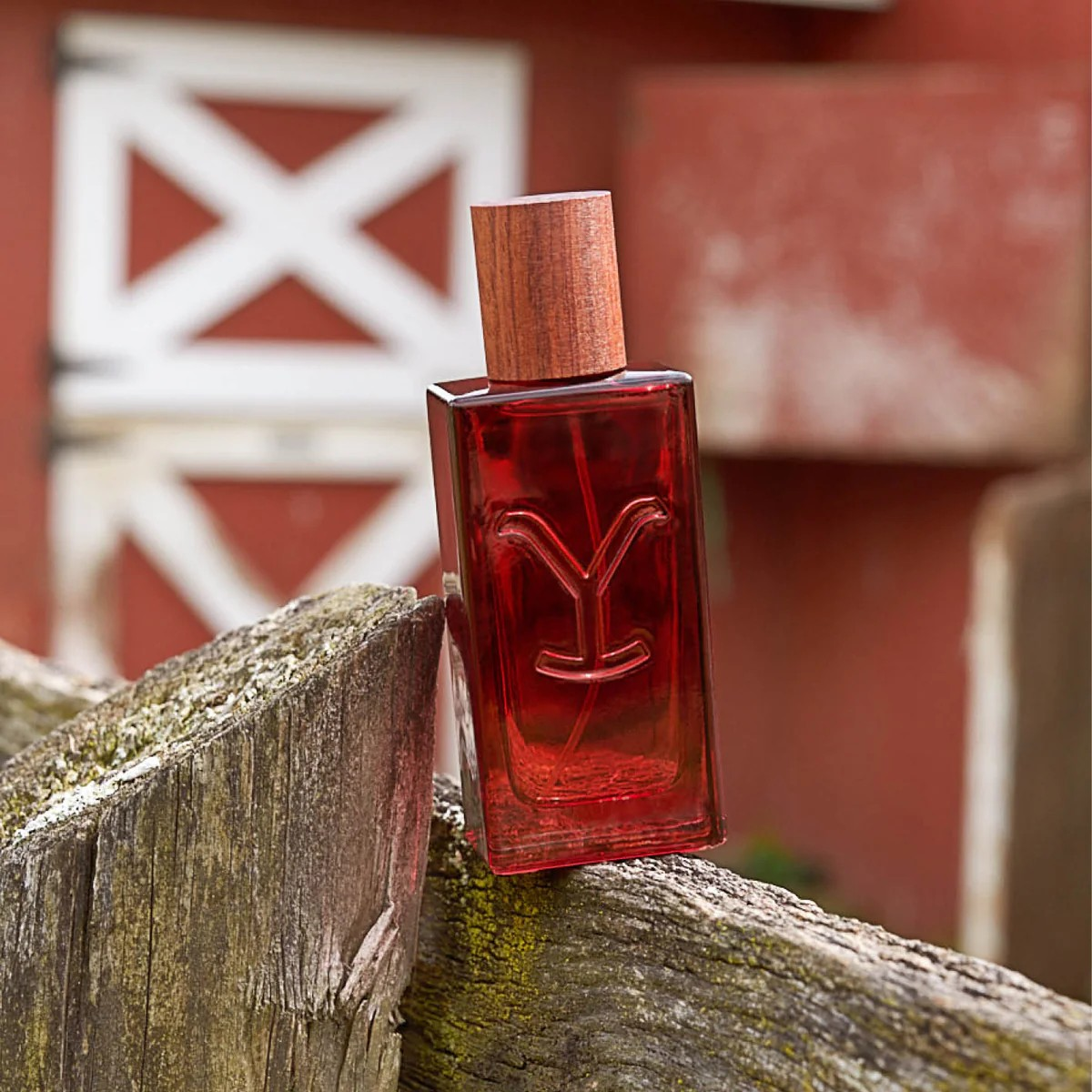 Yellowstone Tornado Perfume 50ml